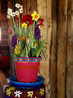 bunter blumentopf mexianisch